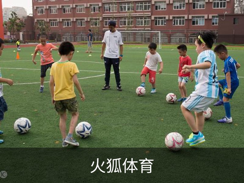 火狐体育概况